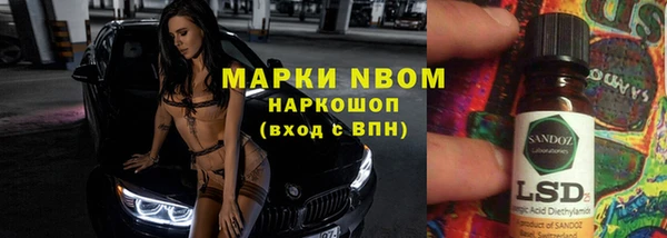 амф Козловка
