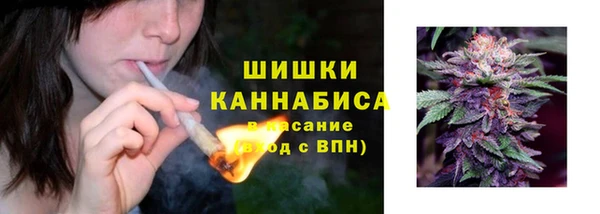 тгк Кодинск