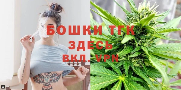 спиды Корсаков