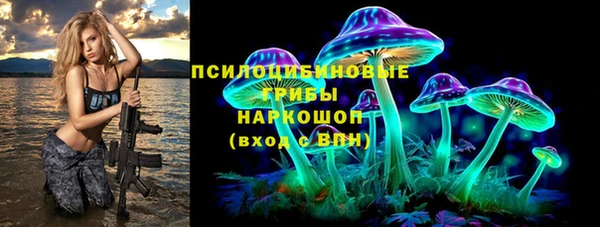 амф Козловка